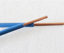 珠江電線(xiàn)電纜BV電線(xiàn)1x2.5